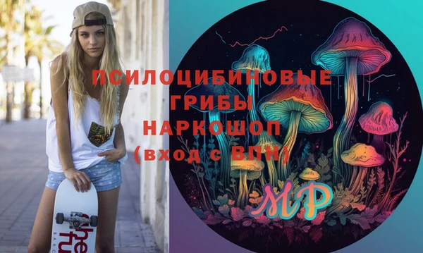 дживик Балахна