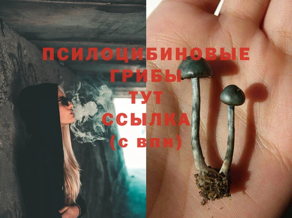 гашик Баксан