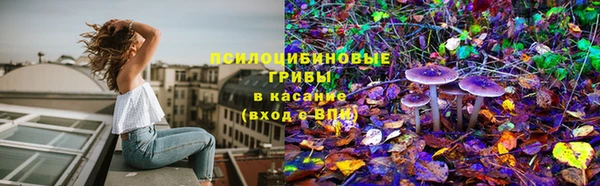 дживик Балахна