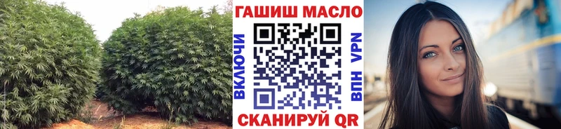 Дистиллят ТГК Wax  купить закладку  Сенгилей 